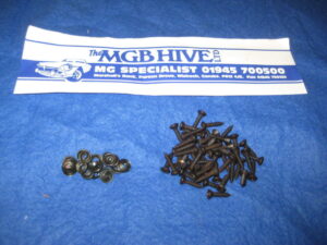 BLACK INTERIOR TRIM SCREWS AND CUP WASHERS KIT GBK3004
