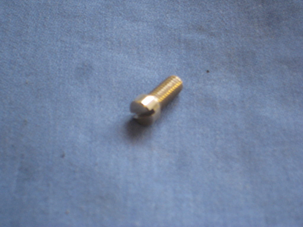 57H5569 MGB & MIDGET SIDE LIGHT LENSE SCREW